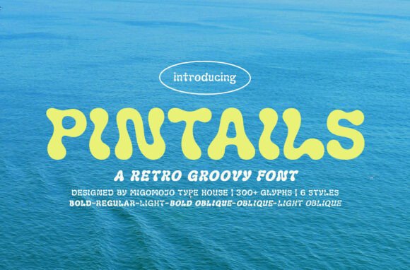 Pintails Font: Your Retro-Infused Design Secret